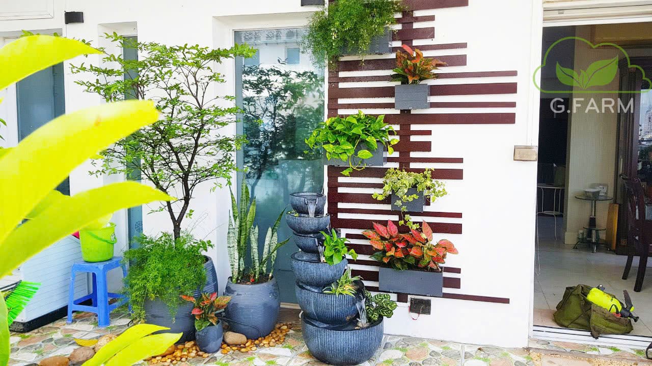 Anh Việt Anh west lake Tây Hồ